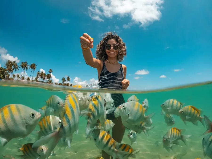 27 melhores praias do Nordeste para você conhecer no verão