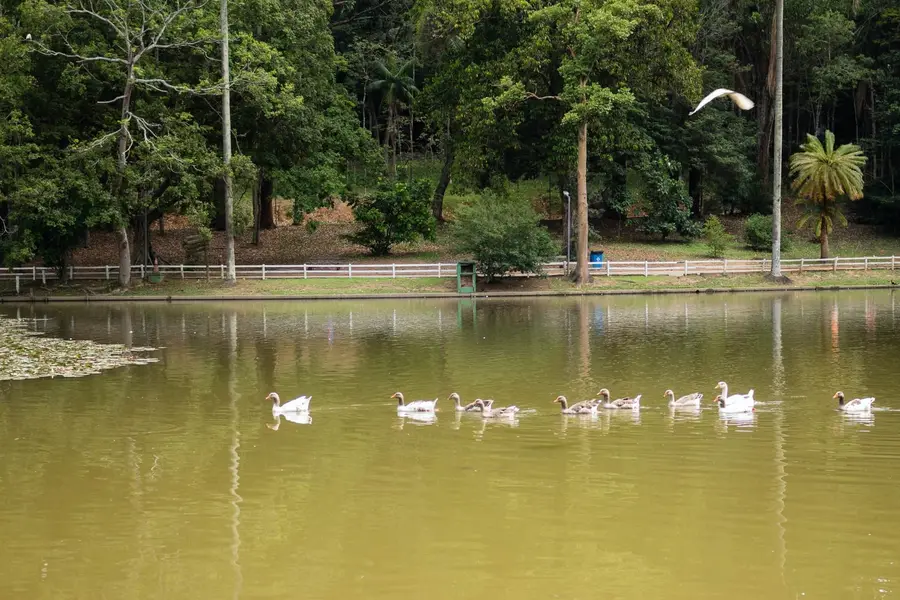 Lugares escondidos em São Paulo: quer descobrir alguns lugares pouco frequentados da capital paulista? Confira nosso post e inclua São Paulo nos seus destinos de viagem!