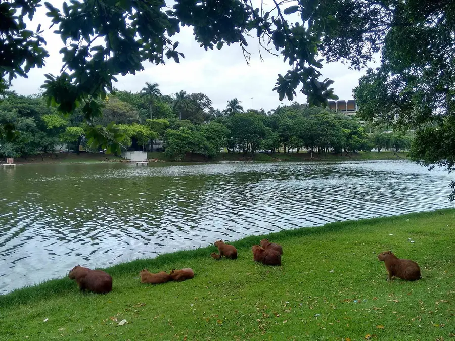 Guia completo para aproveitar o melhor do turismo em Belo Horizonte