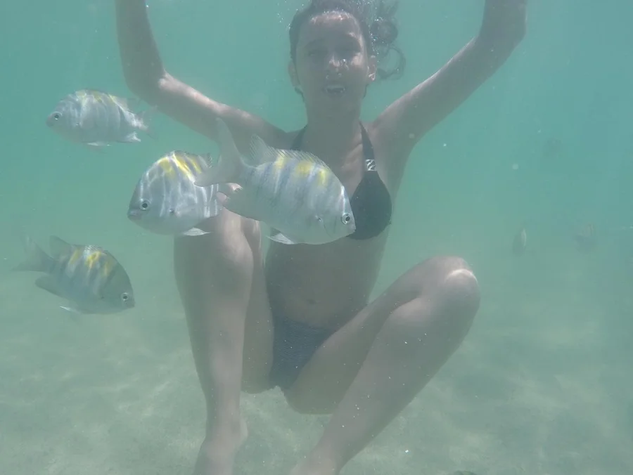 Bia tibeiro submersa no mar em Boipeba em uma de suas viagenes