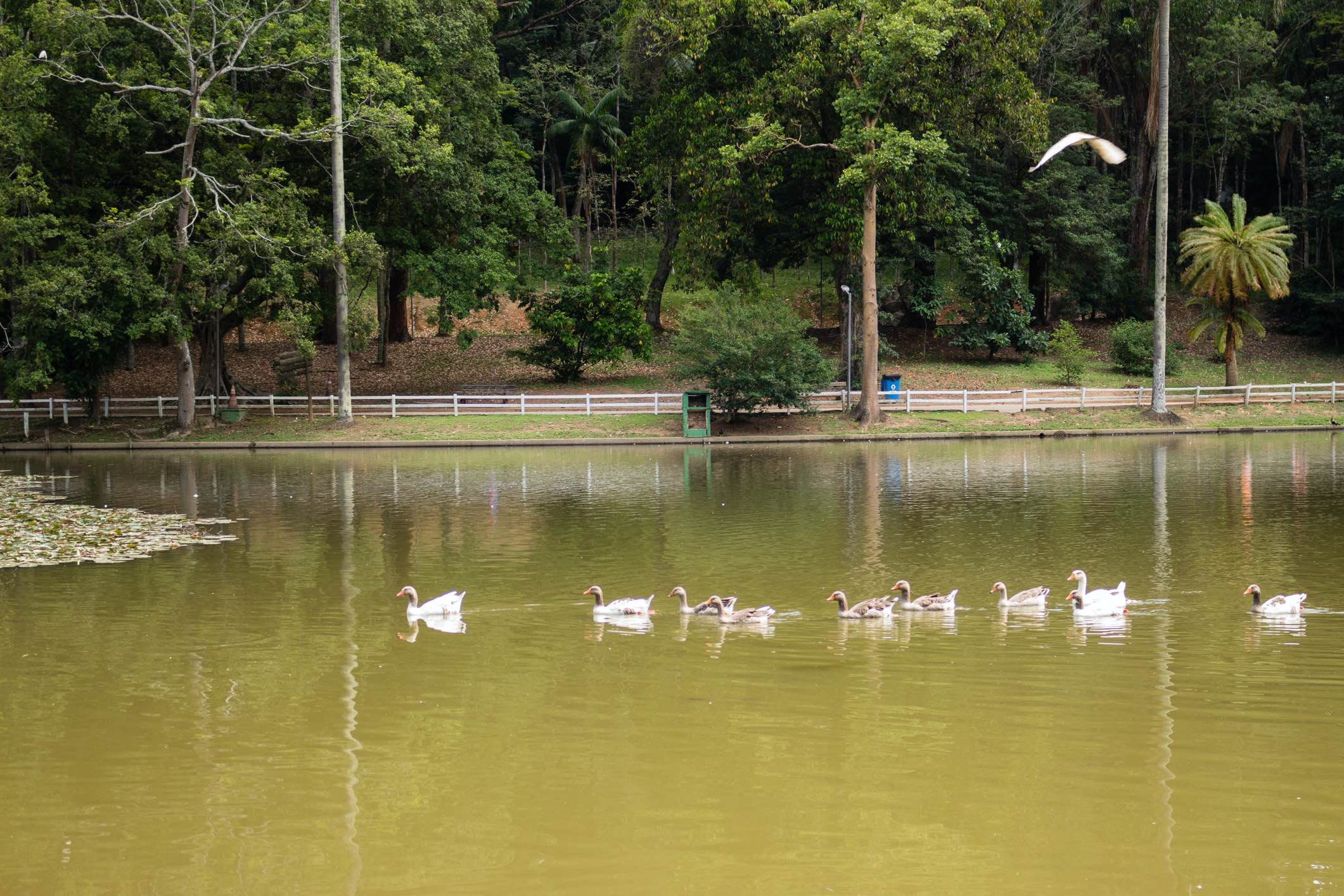 Lugares Secretos Em SP: Venha Descobrir Uma Outra São Paulo Com A Gente. -  Superparking